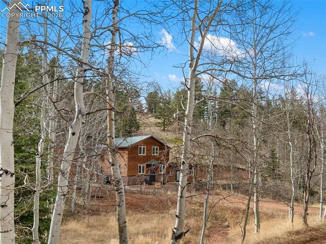 325 Willow Road, Divide, CO 80814