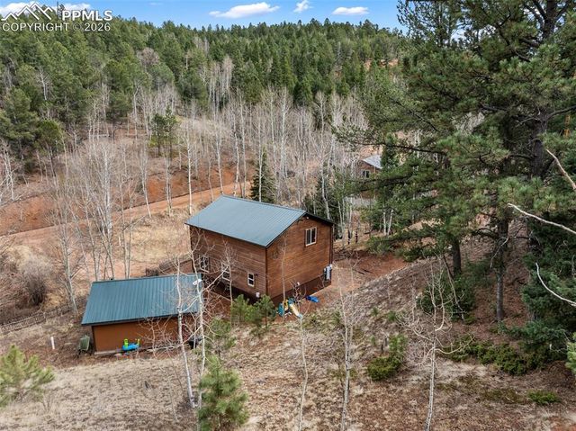 325 Willow Road, Divide, CO 80814