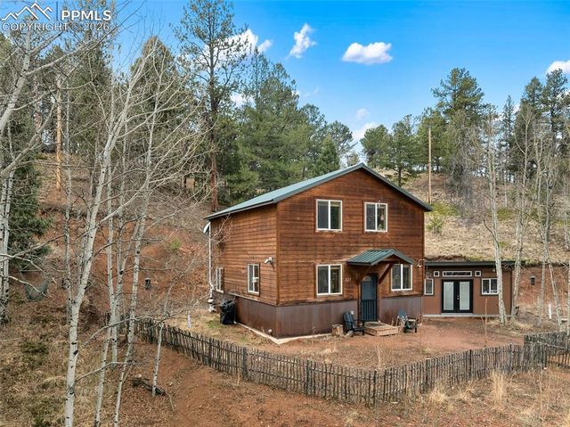 325 Willow Road, Divide, CO 80814