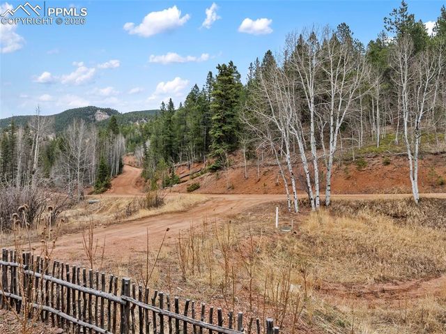 325 Willow Road, Divide, CO 80814