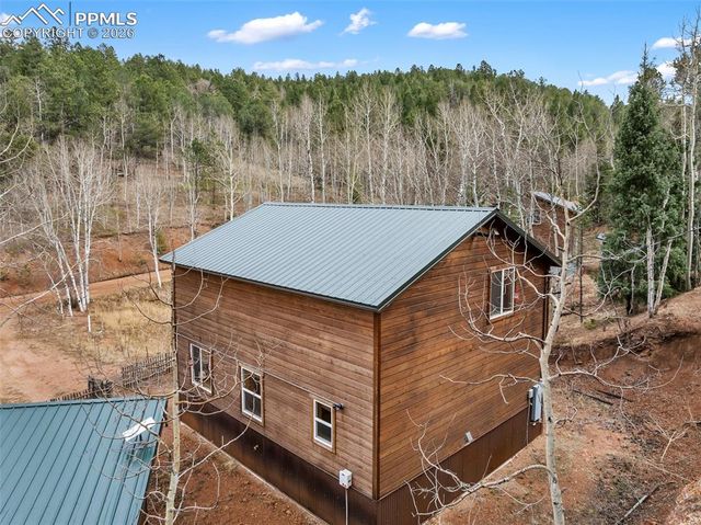 325 Willow Road, Divide, CO 80814