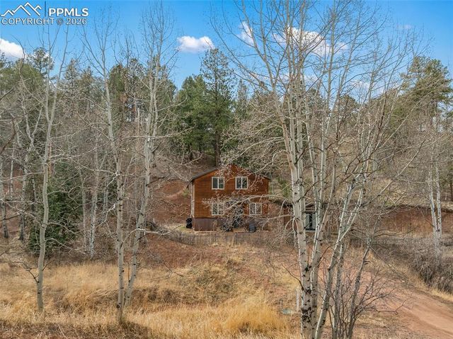 325 Willow Road, Divide, CO 80814