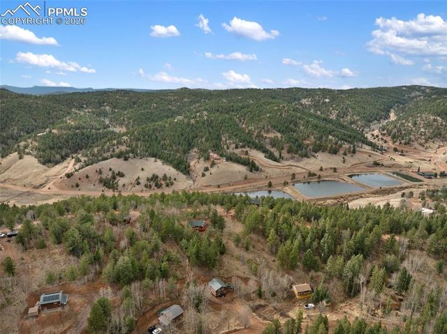 325 Willow Road, Divide, CO 80814