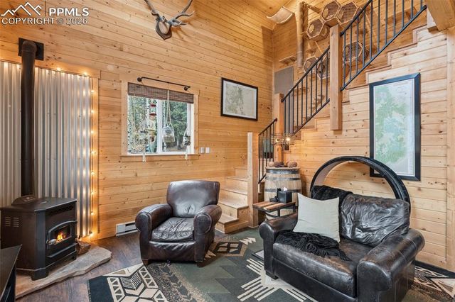 325 Willow Road, Divide, CO 80814
