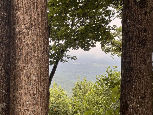 Lot 25 Walnut Ridge, Ellijay, GA 30536