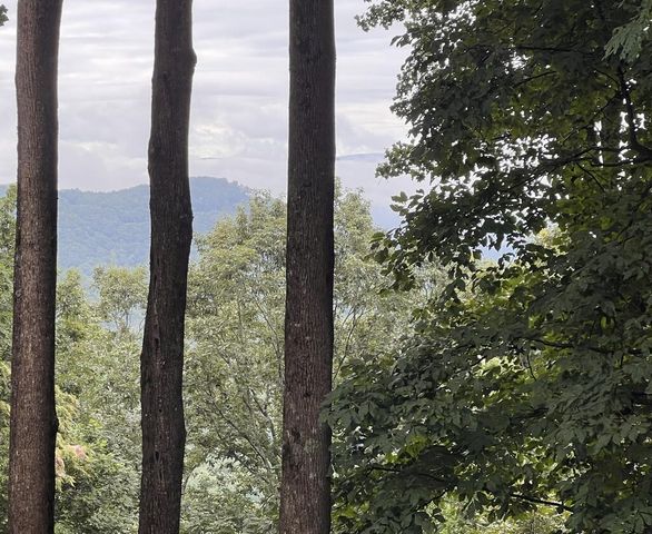 Lot 25 Walnut Ridge, Ellijay, GA 30536