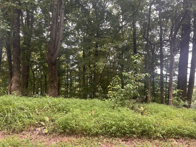 Lot 25 Walnut Ridge, Ellijay, GA 30536