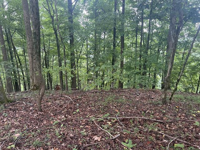 Lot 25 Walnut Ridge, Ellijay, GA 30536