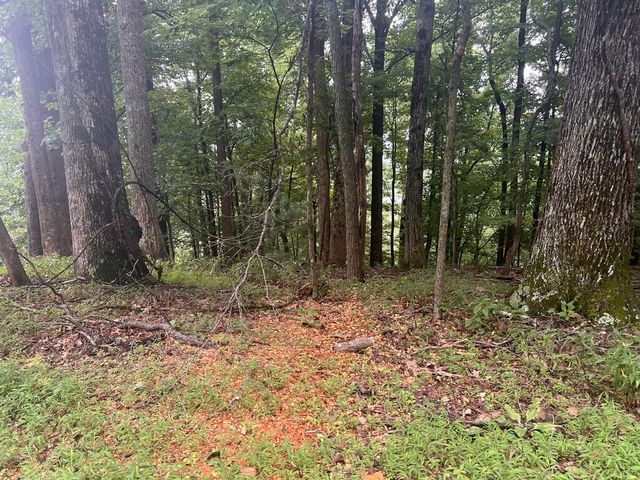 Lot 25 Walnut Ridge, Ellijay, GA 30536