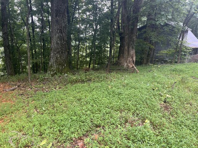 Lot 25 Walnut Ridge, Ellijay, GA 30536