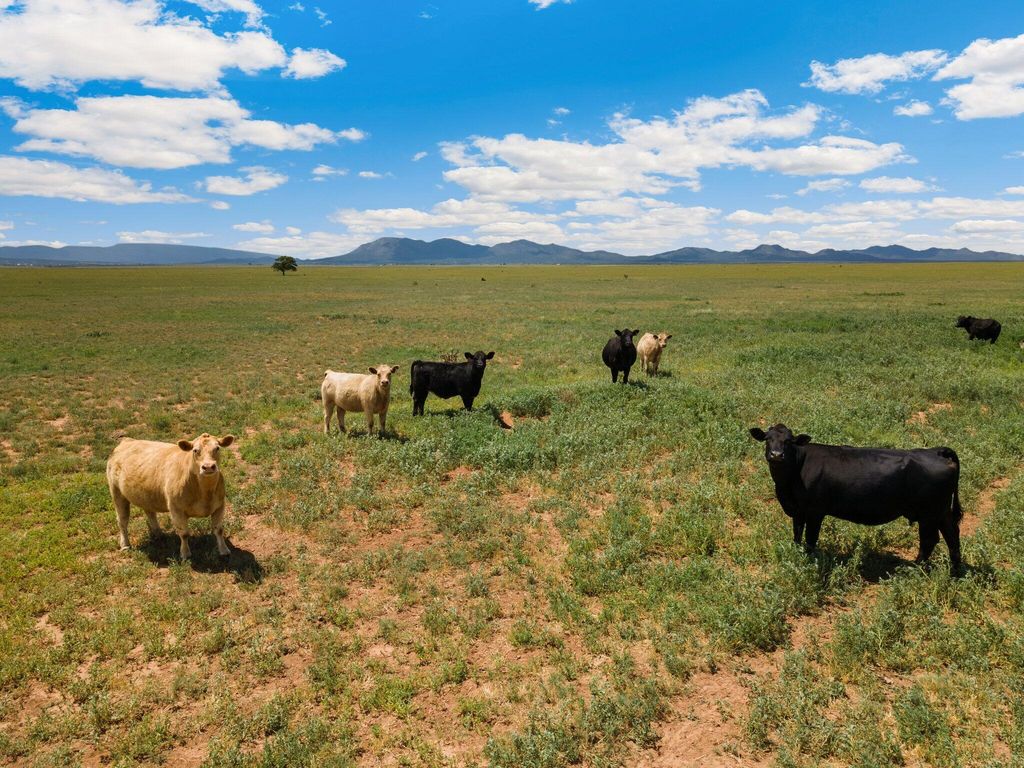 13 BOOMER Road, Stanley, NM 87056