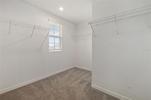 11926 DOWNY BIRCH DRIVE, Riverview, FL 33569