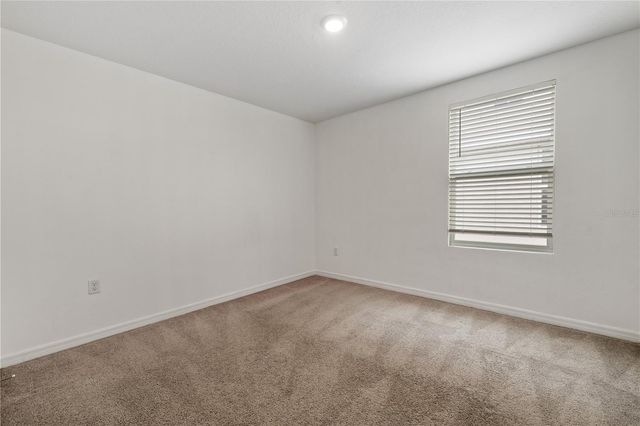 11926 DOWNY BIRCH DRIVE, Riverview, FL 33569