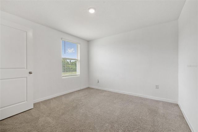 11926 DOWNY BIRCH DRIVE, Riverview, FL 33569