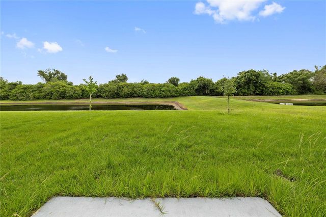 11926 DOWNY BIRCH DRIVE, Riverview, FL 33569