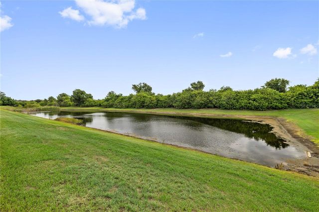 11926 DOWNY BIRCH DRIVE, Riverview, FL 33569