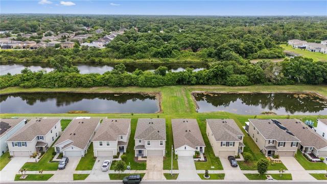 11926 DOWNY BIRCH DRIVE, Riverview, FL 33569