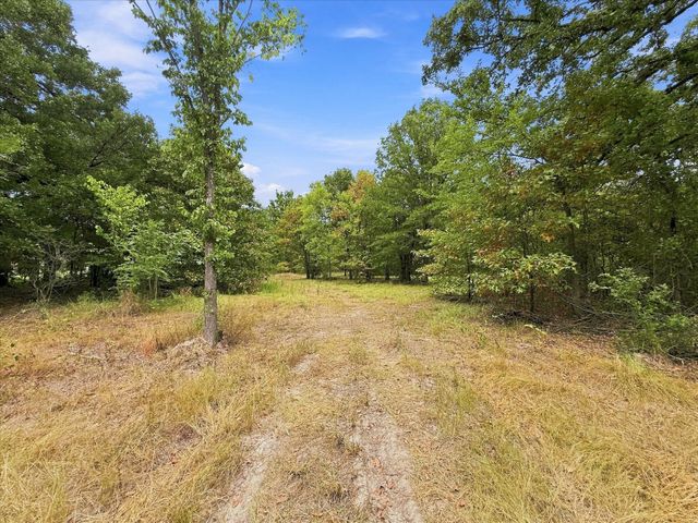 9696 FM 515, Yantis, TX 75410