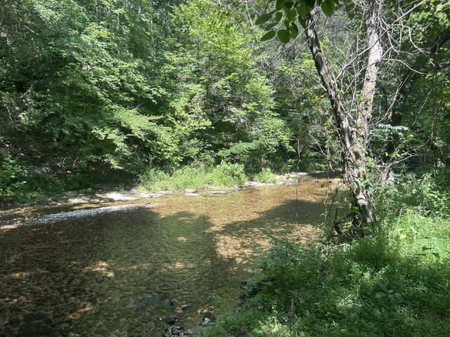 1775 Old Beech Creek Rd, Waynesboro, TN 38485