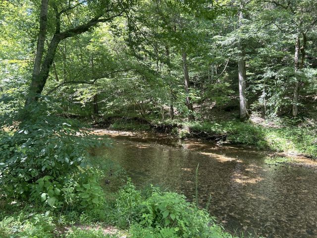 1775 Old Beech Creek Rd, Waynesboro, TN 38485