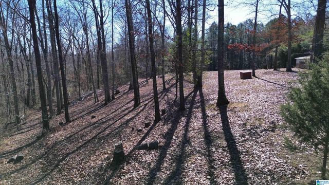 9516 NEWELL HILL ROAD, Warrior, AL 35180