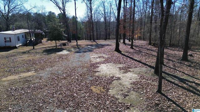 9516 NEWELL HILL ROAD, Warrior, AL 35180