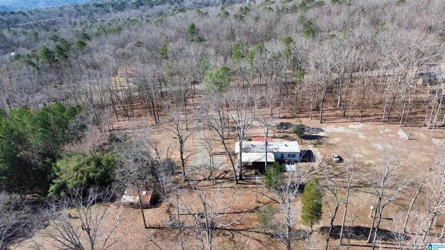 9516 NEWELL HILL ROAD, Warrior, AL 35180