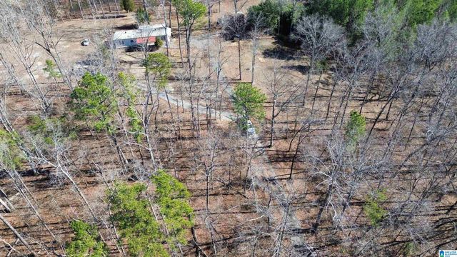 9516 NEWELL HILL ROAD, Warrior, AL 35180