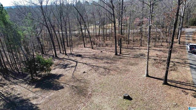 9516 NEWELL HILL ROAD, Warrior, AL 35180