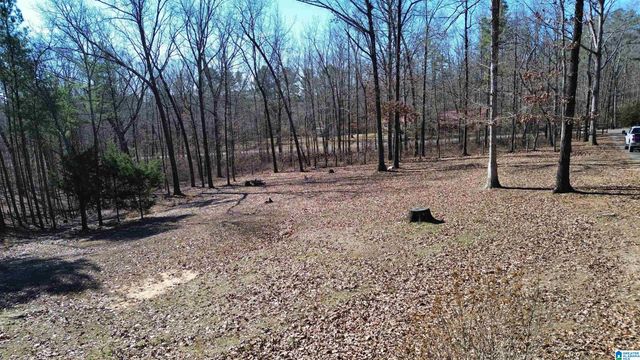 9516 NEWELL HILL ROAD, Warrior, AL 35180