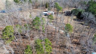 9516 NEWELL HILL ROAD, Warrior, AL 35180