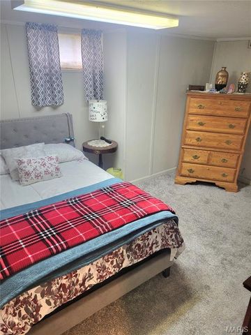 323 W Ross Street, Palmyra, MO 63461