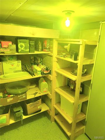 323 W Ross Street, Palmyra, MO 63461