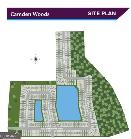 216 Collin Nicholas Drive LOT 24, Kingsland, GA 31548