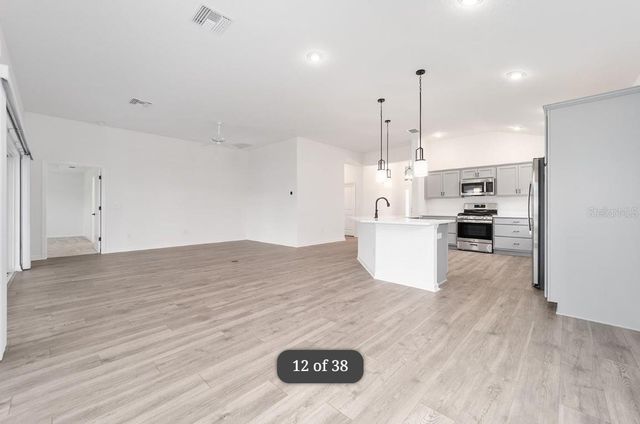 1917 PANLILIO LOOP LOOP, The Villages, FL 34762