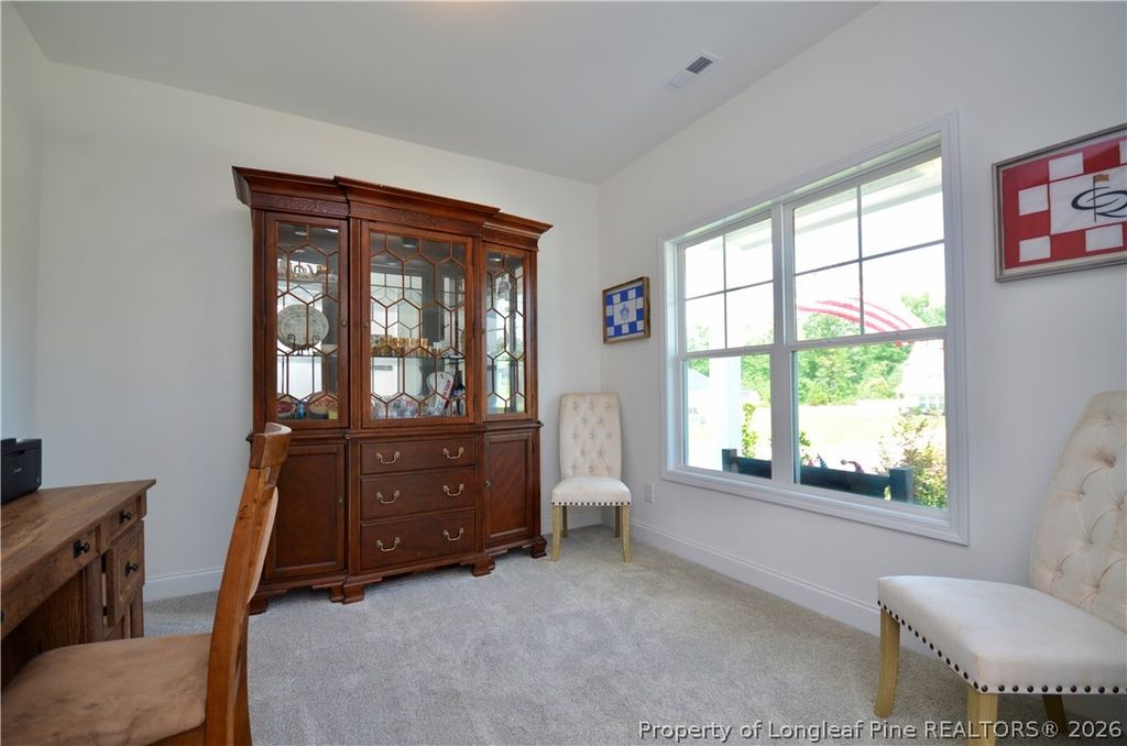 256 Godwin Gate Street, Linden, NC 28356 — photo 5