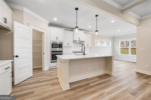 231 Fowler Farms Drive, Auburn, GA 30011