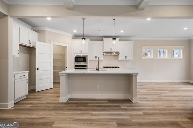 231 Fowler Farms Drive, Auburn, GA 30011