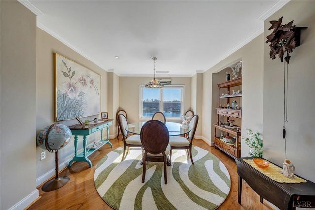 100 Bridgewater Pointe PL 403, Moneta, VA 24121