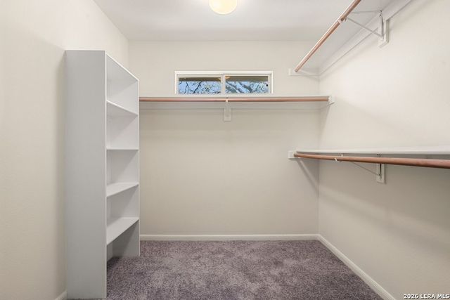 2255 Fawn Mist, San Antonio, TX 78248