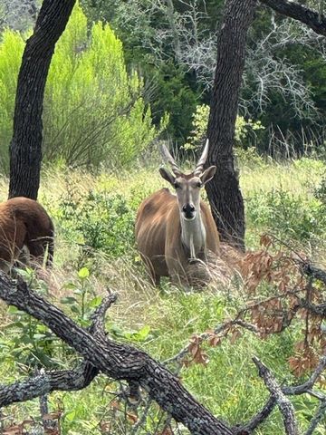 Lot 5 Winn Ranch Way # 5, Kerrville, TX 78028