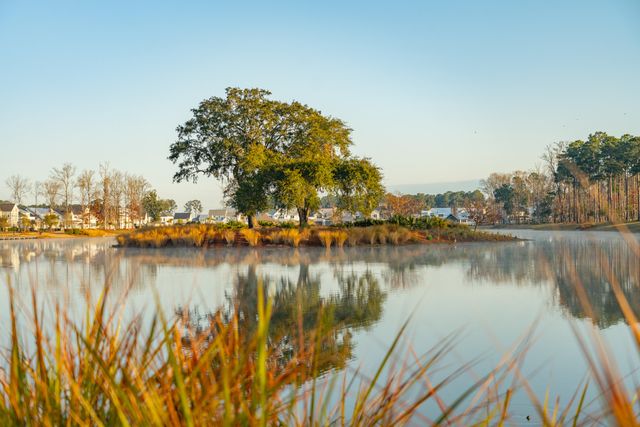 1855 Bolden Drive, Mount Pleasant, SC 29466