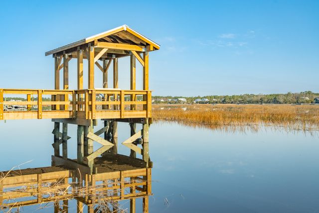 1855 Bolden Drive, Mount Pleasant, SC 29466