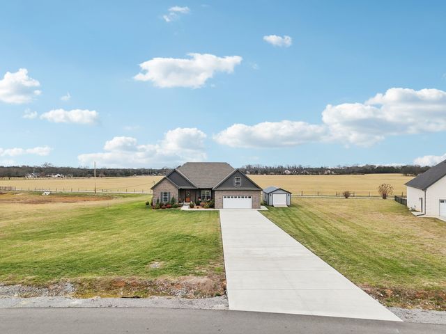 163 Honeybee Dr, Unionville, TN 37180