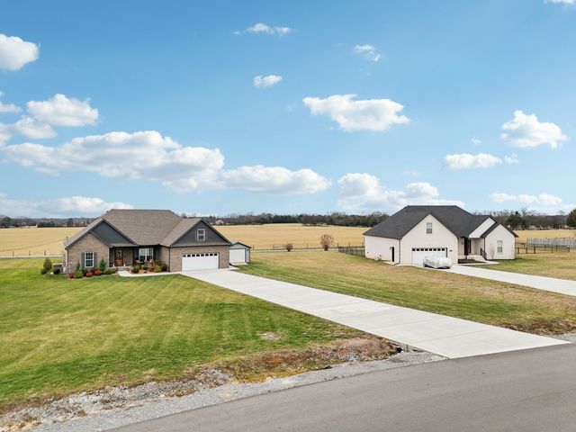 163 Honeybee Dr, Unionville, TN 37180