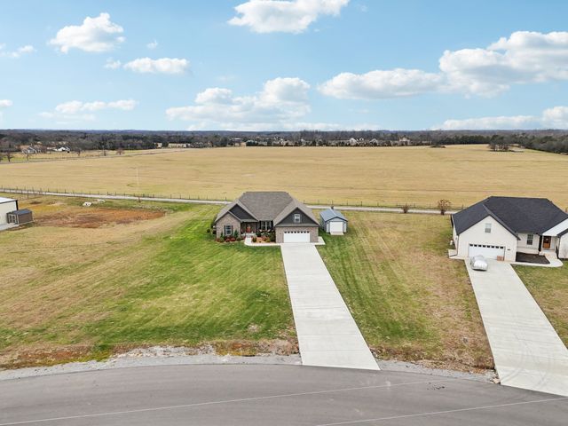 163 Honeybee Dr, Unionville, TN 37180