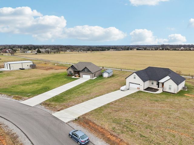 163 Honeybee Dr, Unionville, TN 37180