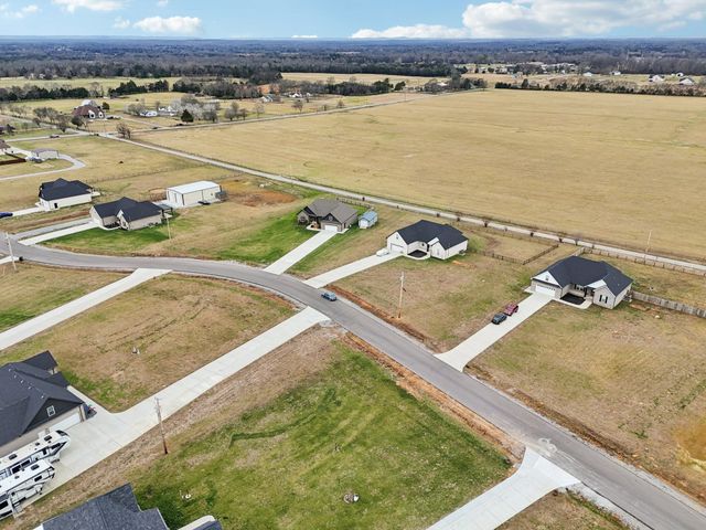 163 Honeybee Dr, Unionville, TN 37180