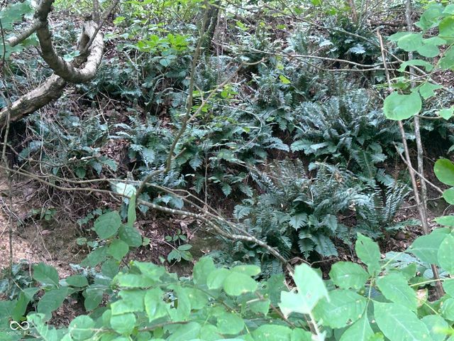 23A 750 S, Elizabethtown, IN 47232