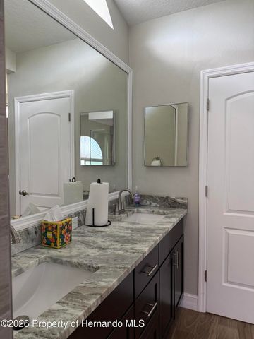 10390 Audie Brook Drive, Spring Hill, FL 34608